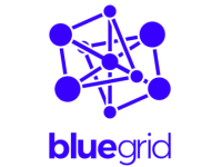 API Support Engineer – Blue Grid
