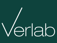 Stručni/a saradnik/ca za razvoj i implementaciju EU projekata – Verlab